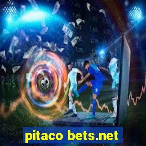 pitaco bets.net